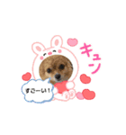 チワワ＆ダックス仲良し（個別スタンプ：3）