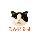 ニードルフェルト風偽こま（個別スタンプ：2）