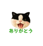 ニードルフェルト風偽こま（個別スタンプ：3）