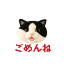ニードルフェルト風偽こま（個別スタンプ：4）