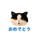 ニードルフェルト風偽こま（個別スタンプ：5）