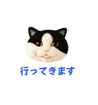 ニードルフェルト風偽こま（個別スタンプ：6）