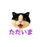 ニードルフェルト風偽こま（個別スタンプ：7）