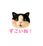 ニードルフェルト風偽こま（個別スタンプ：8）