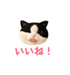 ニードルフェルト風偽こま（個別スタンプ：9）