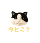 ニードルフェルト風偽こま（個別スタンプ：10）