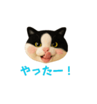 ニードルフェルト風偽こま（個別スタンプ：13）