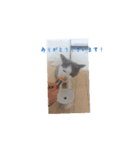 皆のアオくん2（個別スタンプ：3）