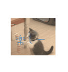 皆のアオくん2（個別スタンプ：5）