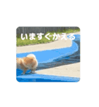 もふもふとあちゃん（個別スタンプ：4）