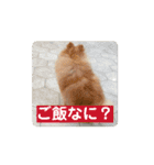もふもふとあちゃん（個別スタンプ：5）