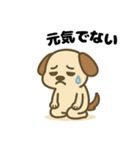 やる気ゼロ犬のゆるスタンプ（個別スタンプ：13）