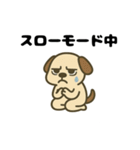 やる気ゼロ犬のゆるスタンプ（個別スタンプ：29）