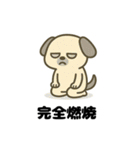 やる気ゼロ犬のゆるスタンプ（個別スタンプ：37）