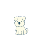 シュナプーるるさん（個別スタンプ：2）