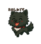 黒毛のポメラニアン【カイ】だよ（個別スタンプ：2）