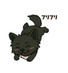 黒毛のポメラニアン【カイ】だよ（個別スタンプ：3）