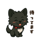 黒毛のポメラニアン【カイ】だよ（個別スタンプ：4）