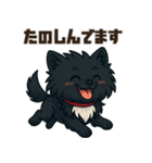 黒毛のポメラニアン【カイ】だよ（個別スタンプ：14）