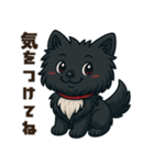 黒毛のポメラニアン【カイ】だよ（個別スタンプ：15）