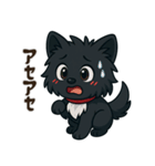 黒毛のポメラニアン【カイ】だよ（個別スタンプ：24）