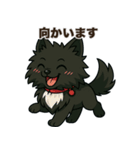 黒毛のポメラニアン【カイ】だよ（個別スタンプ：25）