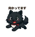 黒毛のポメラニアン【カイ】だよ（個別スタンプ：26）