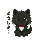 黒毛のポメラニアン【カイ】だよ（個別スタンプ：30）