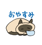 ごくごく普通のスタンプ いろんな猫（個別スタンプ：3）