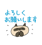 ごくごく普通のスタンプ いろんな猫（個別スタンプ：13）