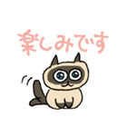 ごくごく普通のスタンプ いろんな猫（個別スタンプ：17）