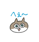 ごくごく普通のスタンプ いろんな猫（個別スタンプ：29）