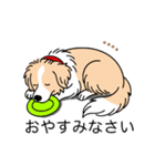 名前入りボーダーコリーウィートン（個別スタンプ：4）