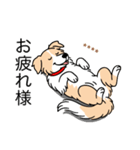 名前入りボーダーコリーウィートン（個別スタンプ：5）