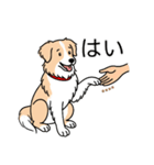 名前入りボーダーコリーウィートン（個別スタンプ：6）