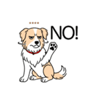 名前入りボーダーコリーウィートン（個別スタンプ：7）