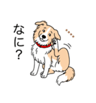 名前入りボーダーコリーウィートン（個別スタンプ：8）