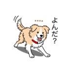 名前入りボーダーコリーウィートン（個別スタンプ：9）