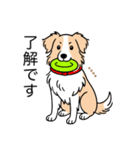 名前入りボーダーコリーウィートン（個別スタンプ：10）