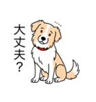 名前入りボーダーコリーウィートン（個別スタンプ：11）