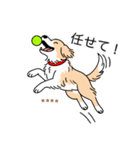 名前入りボーダーコリーウィートン（個別スタンプ：12）