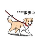 名前入りボーダーコリーウィートン（個別スタンプ：13）