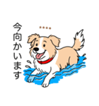 名前入りボーダーコリーウィートン（個別スタンプ：14）