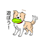 名前入りボーダーコリーウィートン（個別スタンプ：15）