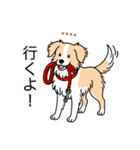 名前入りボーダーコリーウィートン（個別スタンプ：16）