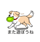 名前入りボーダーコリーウィートン（個別スタンプ：17）