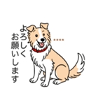 名前入りボーダーコリーウィートン（個別スタンプ：18）