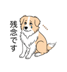 名前入りボーダーコリーウィートン（個別スタンプ：19）