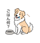 名前入りボーダーコリーウィートン（個別スタンプ：20）