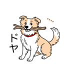 名前入りボーダーコリーウィートン（個別スタンプ：21）